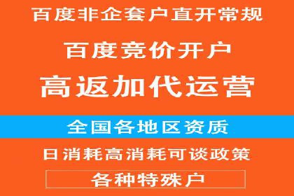充值高返点案例：新手快速入门指南